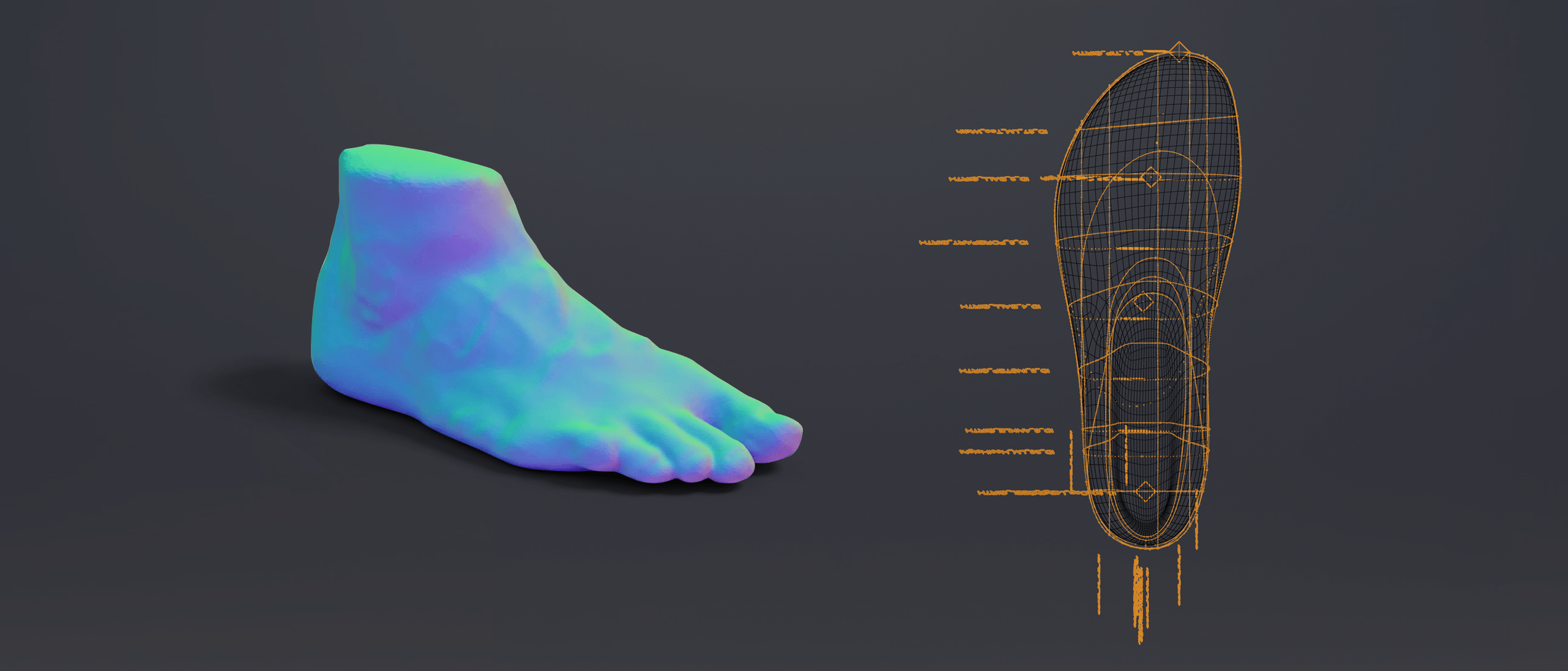 Ein Fußscan, dargestellt als farbiges biomechanisches Mesh.